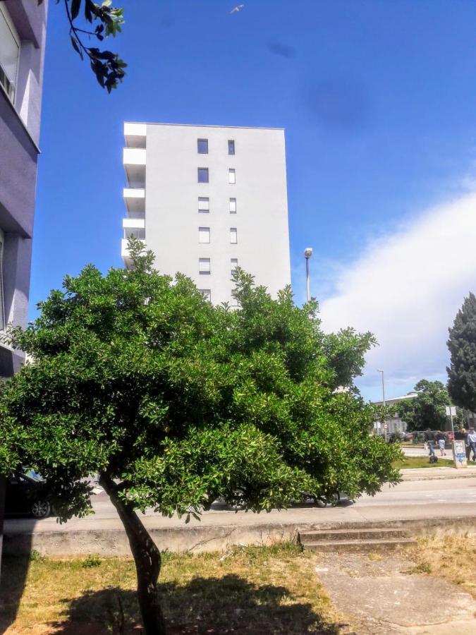 Studio Apartman Moonlight Zadar Luaran gambar